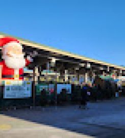 Jean Talon Market