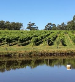 Many Hands Winery