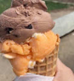 80 Flavours Ice Cream