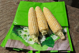 Silver Rill Corn