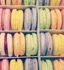 OMG Macarons