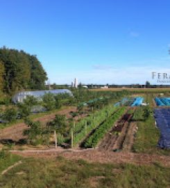 Ferme Umami Point de livraison Beauharnois