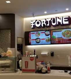 Fortune Wok