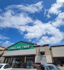 Dollar Tree