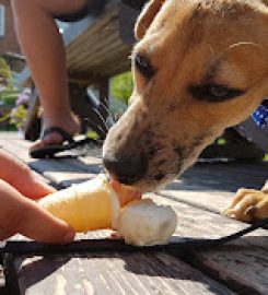 Foothills Creamery