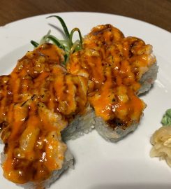 Vicexpress Teriyaki  Roll