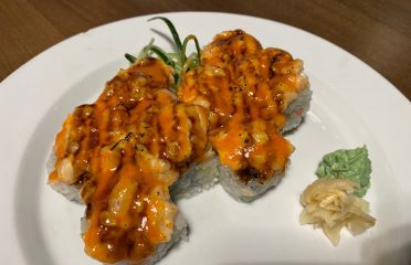 Vicexpress Teriyaki  Roll