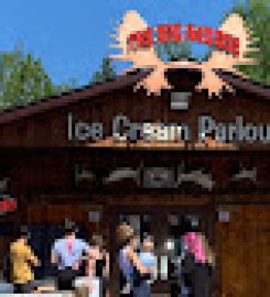 Big Moose Ice Cream Parlour