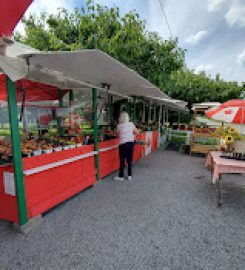 Local Family Fruit and Legumes