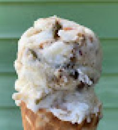 Wild Scoop Ice Cream