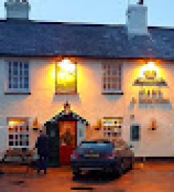 Hare  Hounds