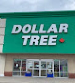 Dollar Tree