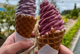 Wild Scoop Ice Cream