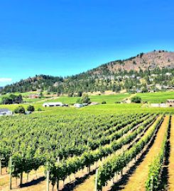 Mt Boucherie Estate Winery  West Kelowna