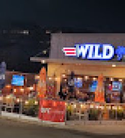 Wild Wing