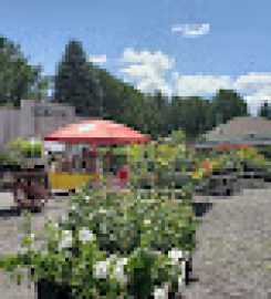 Niemi Family Farm And Bakery At Newmarket Farmers Market