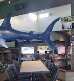 Shark Club Sports Bar  Grill