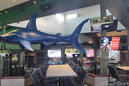 Shark Club Sports Bar  Grill