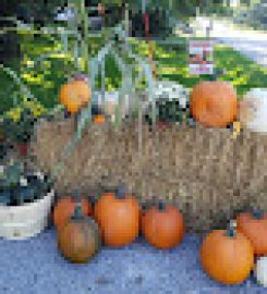 Local Family Fruit and Legumes