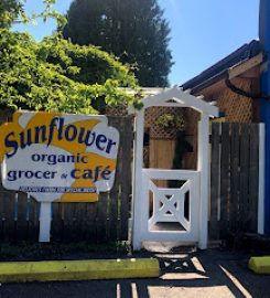 The Sunflower Cafe