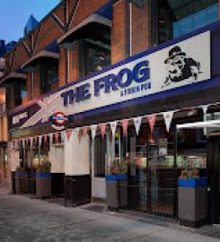 The Frog A Firkin Pub