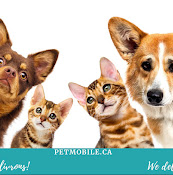 Petmobile Boucherville