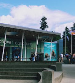 Vancouver Aquarium Caf