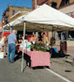 Peterborough Downtown Farmers Market