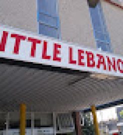 Little Lebanon Pita Pies  Donair