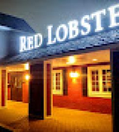 Red Lobster