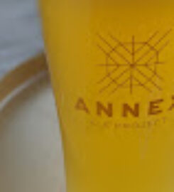 Annex Ale Project