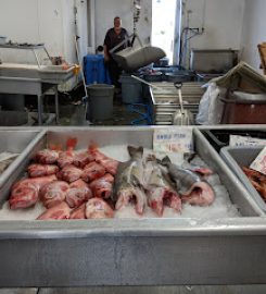 Fish Market