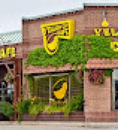 Yellow Cup Cafe