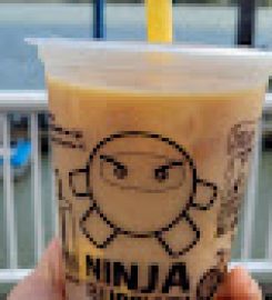 Ninja Bubble Tea Express